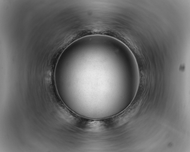 X0000099560269200805161500