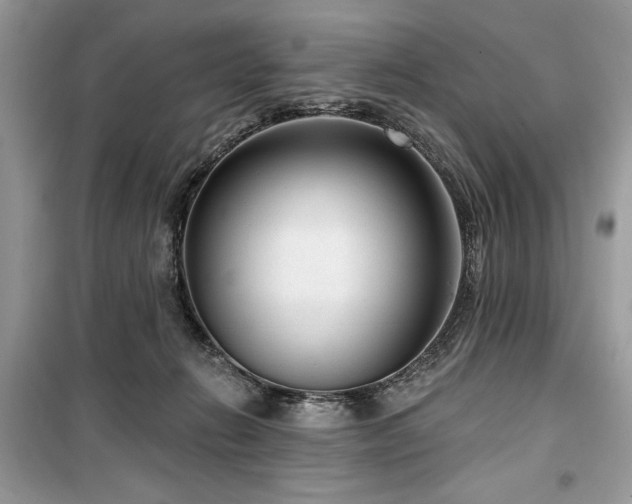 X0000099560270200805161500