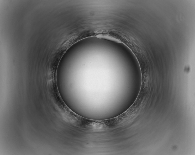 X0000099560272200805161500