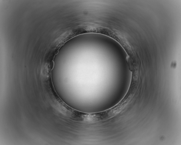 X0000099560273200805161500