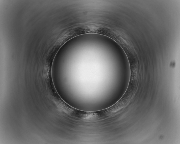 X0000099560274200805161500