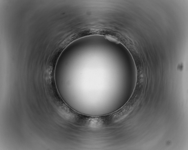 X0000099560275200805161500