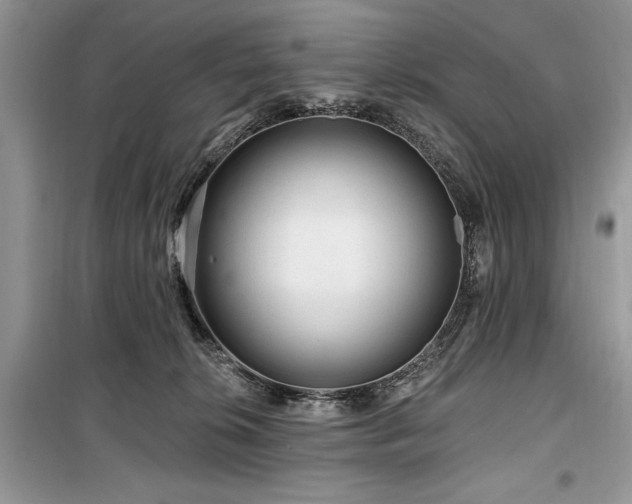 X0000099560276200805161500