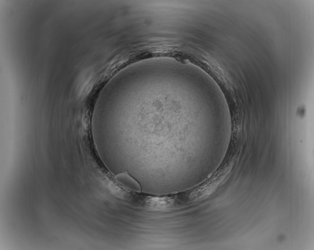 X0000099560277200805161500