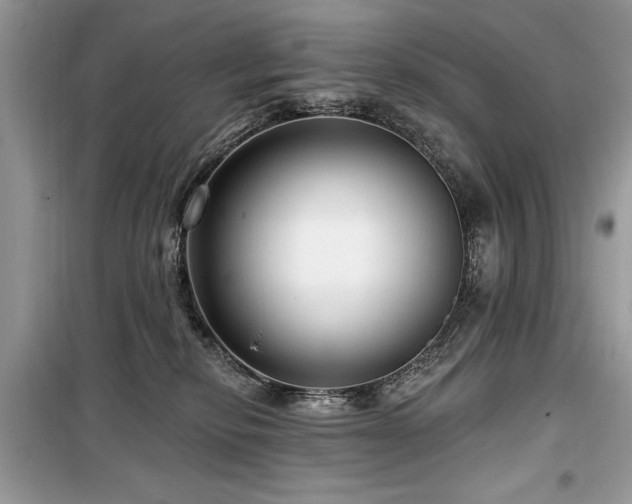 X0000099560278200805161500