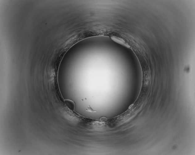 X0000099560279200805161500