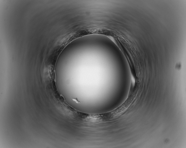 X0000099560280200805161500