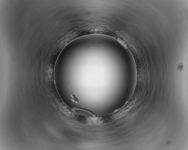 X0000099560281200805161500