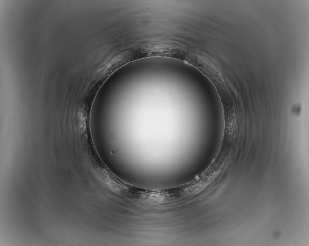 X0000099560282200805161500