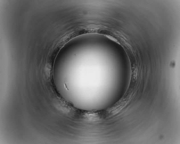 X0000099560283200805161500