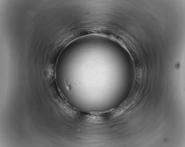 X0000099560284200805161500