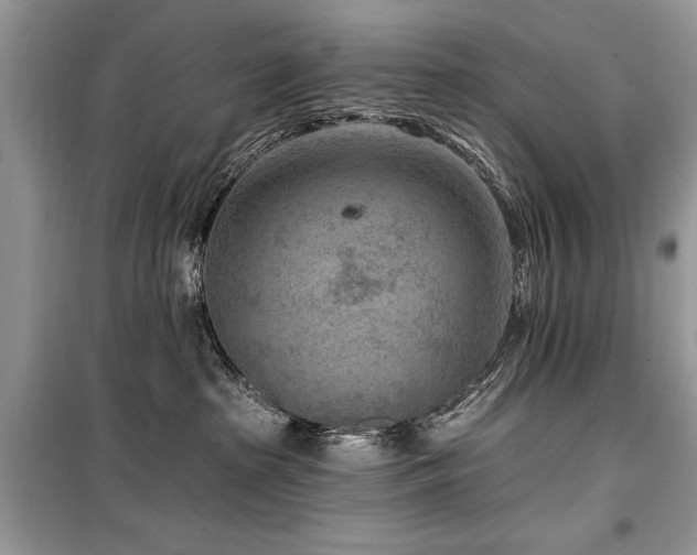 X0000099560285200805161500