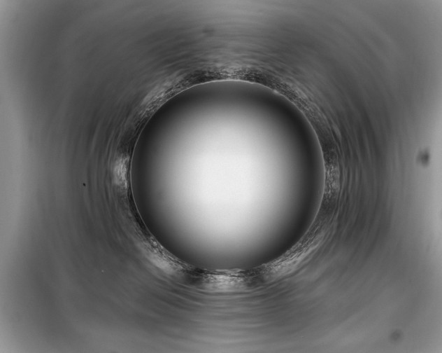 X0000099560286200805161500