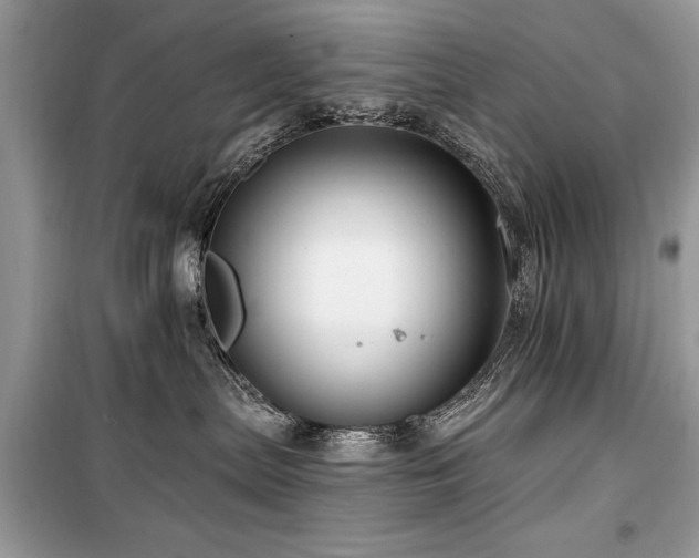 X0000099560287200805161500