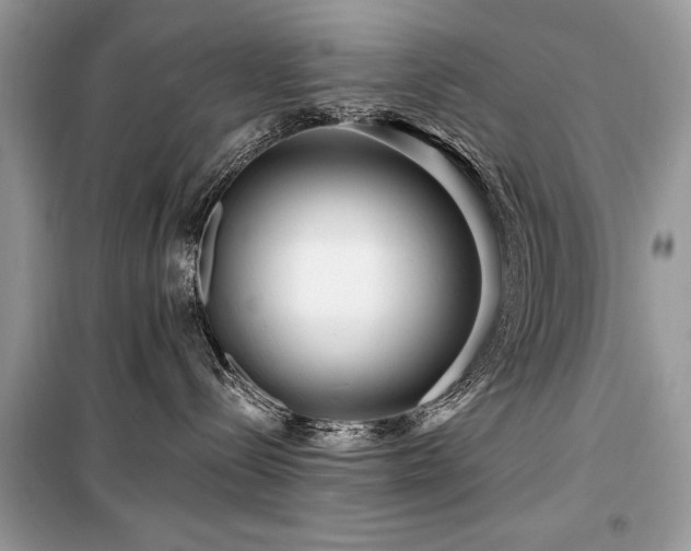 X0000099560288200805161500