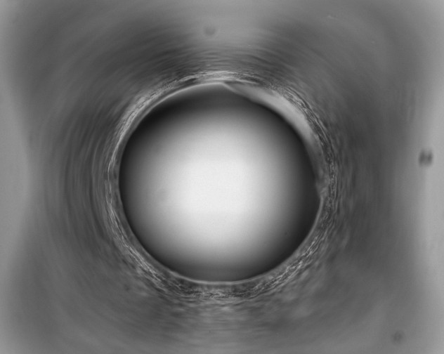 X0000099560289200805161459