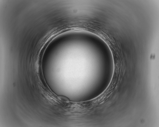 X0000099560290200805161459