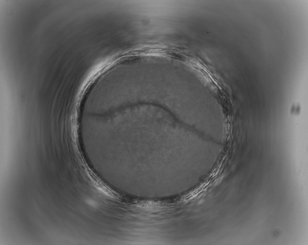 X0000099560293200805161459