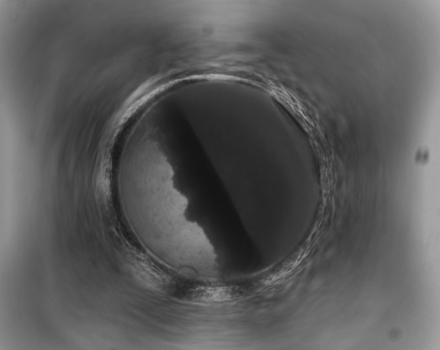 X0000099560295200805161459