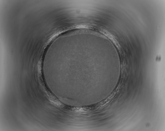 X0000099560297200805161459