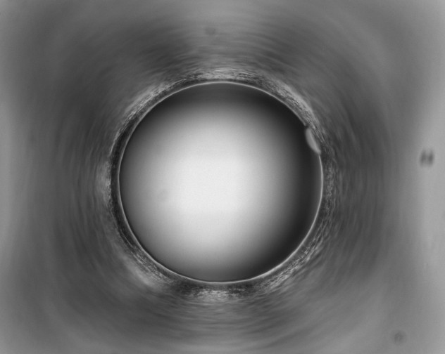 X0000099560298200805161459