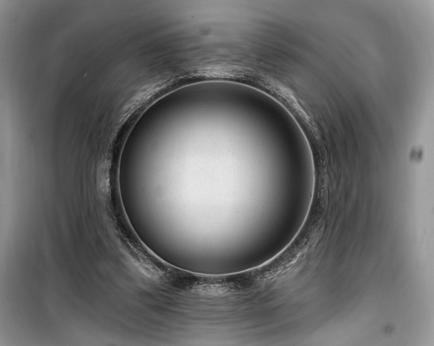 X0000099560299200805161459