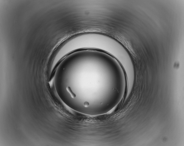 X0000099560300200805161459