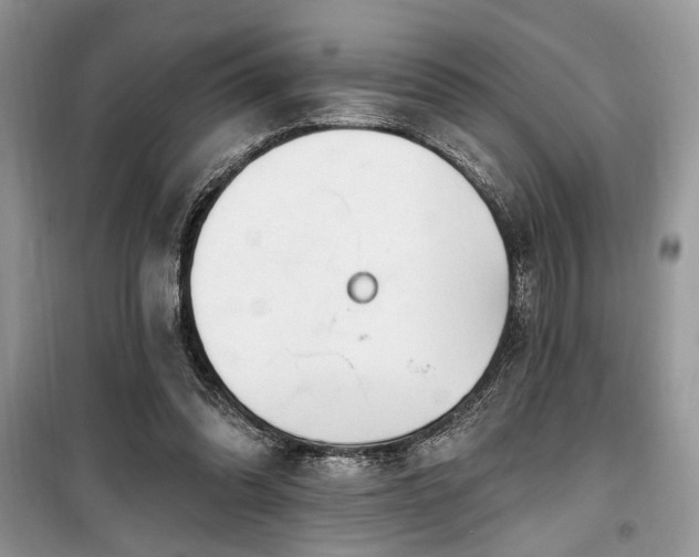 X0000099560302200805161459