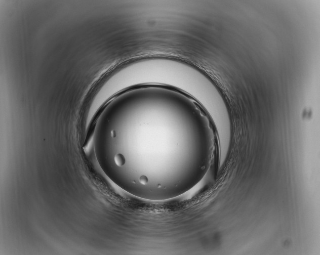 X0000099560304200805161459