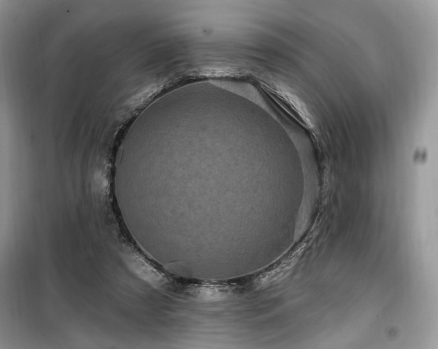 X0000099560305200805161459