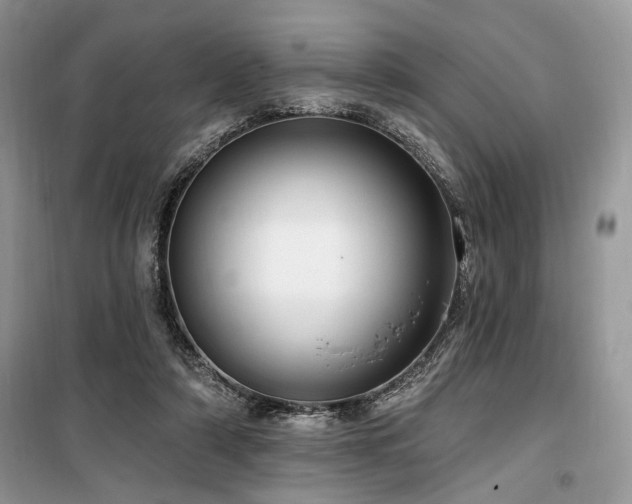 X0000099560306200805161459