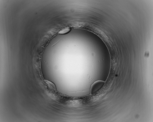 X0000099560307200805161459