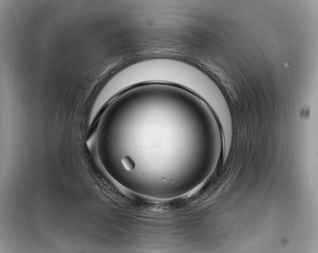 X0000099560308200805161459