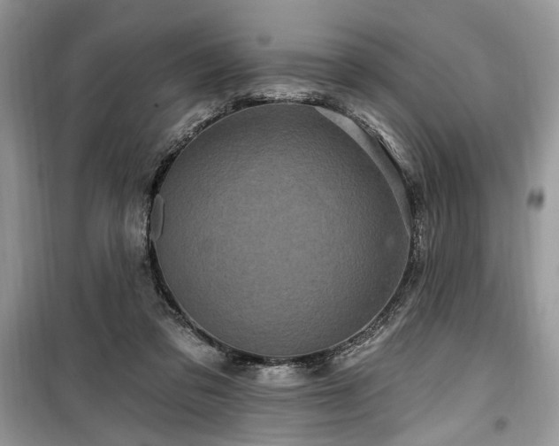 X0000099560309200805161459