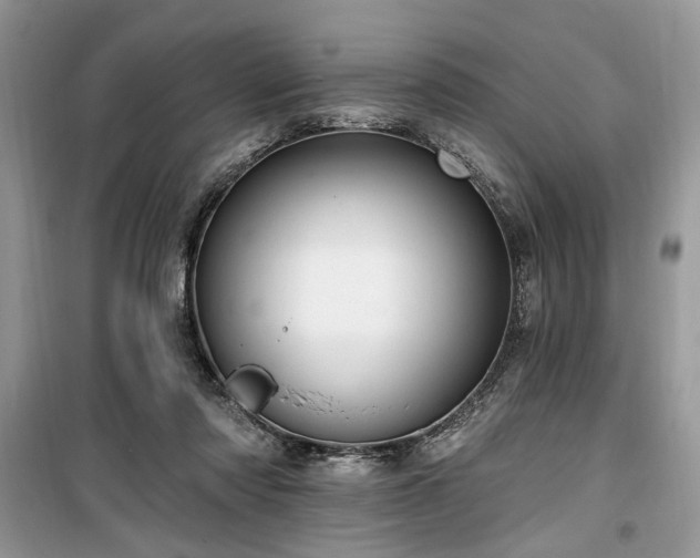 X0000099560310200805161459