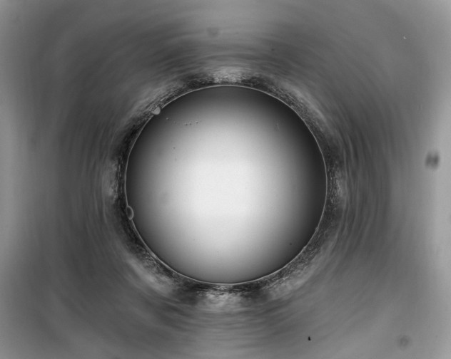 X0000099560311200805161459