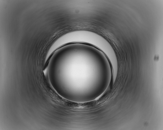 X0000099560312200805161459