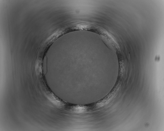 X0000099560313200805161459