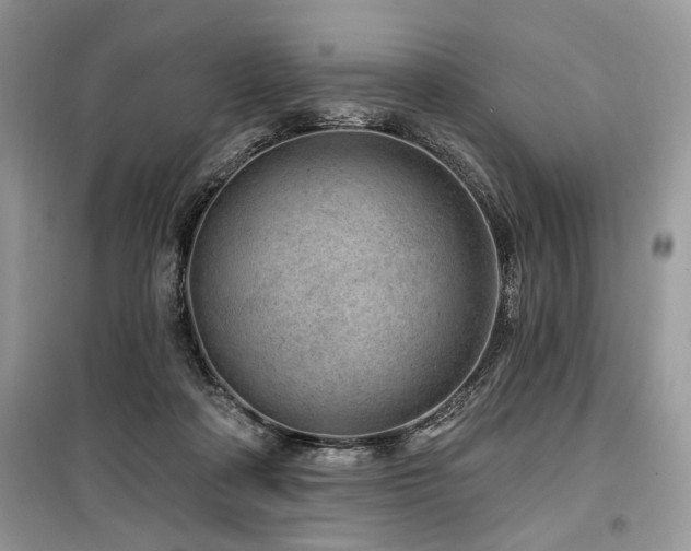 X0000099560314200805161459