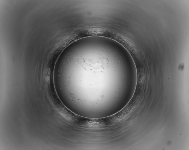 X0000099560315200805161459