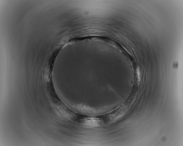 X0000099560316200805161459