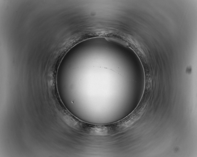 X0000099560317200805161459