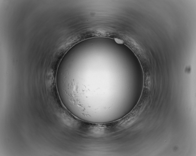 X0000099560318200805161459