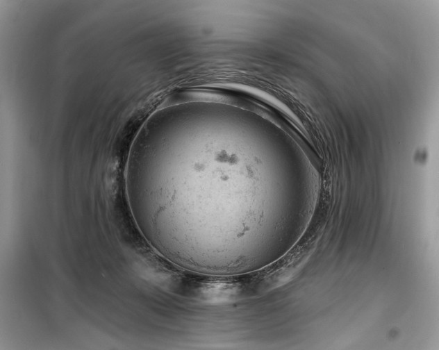 X0000099560319200805161459