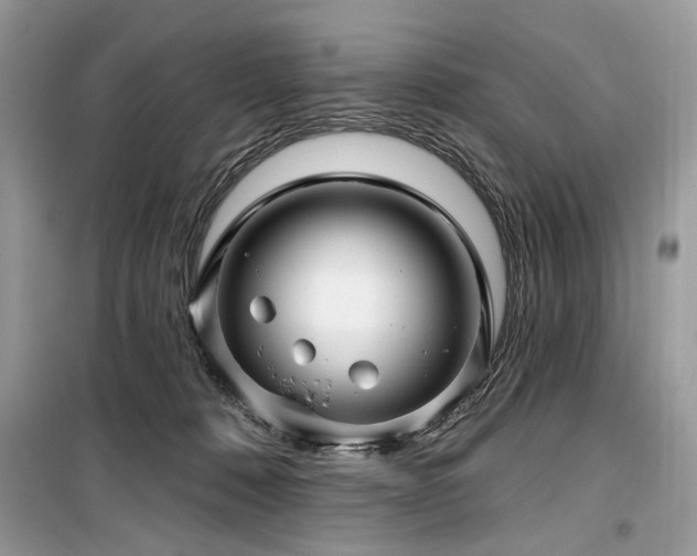 X0000099560320200805161459