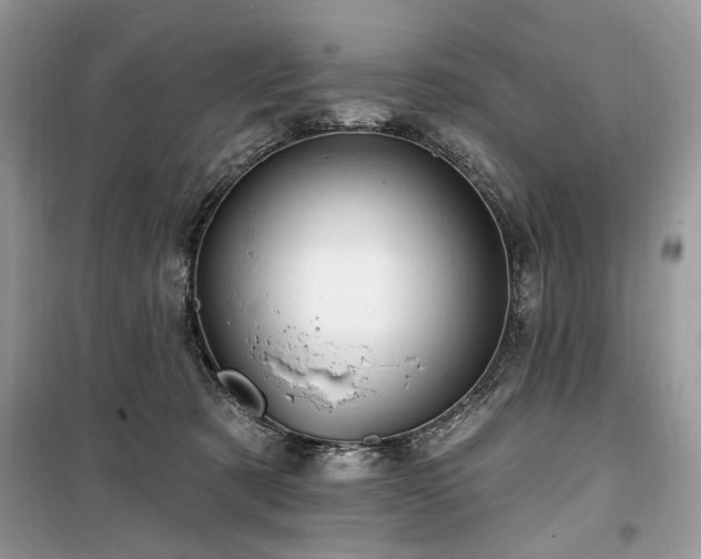 X0000099560321200805161459