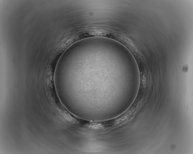 X0000099560322200805161459