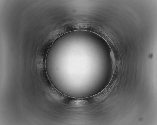 X0000099560323200805161459