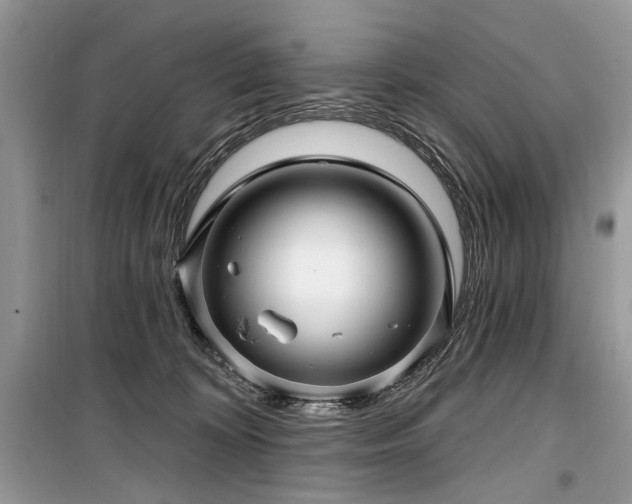 X0000099560324200805161459