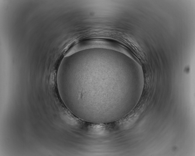 X0000099560325200805161459